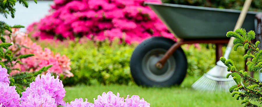 Qualität in Garten- und Landschaftsbau - Andreas Peters