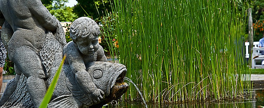 Qualität in Garten- und Landschaftsbau - Andreas Peters